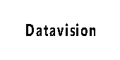 DATAVISION AI