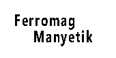 FERROMAG MANYETIK